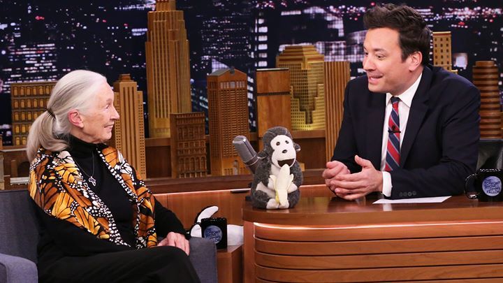 Dr. Jane Goodall Introduces Jimmy To Her Mascot Mr..