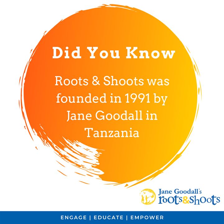 Here Is Another Fact About The Roots Shoots Organi..