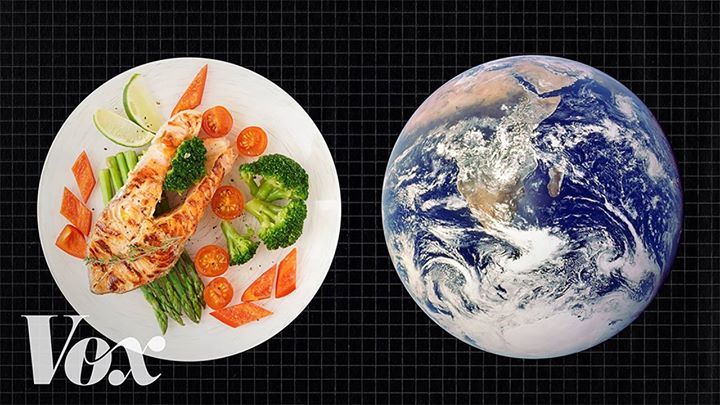 The Diet That Helps Fight Climate Change