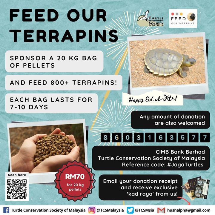 Feed Our Terrapins Kad Raya. Happy Eid Mubarak Fro..