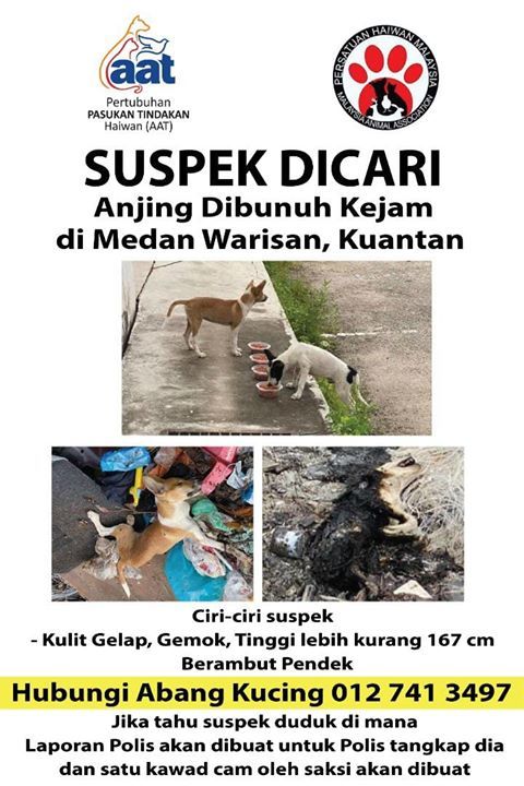 Kes Ikat, Bunuh Dan Bakar Dua Ekor Anjing Di Kuant..