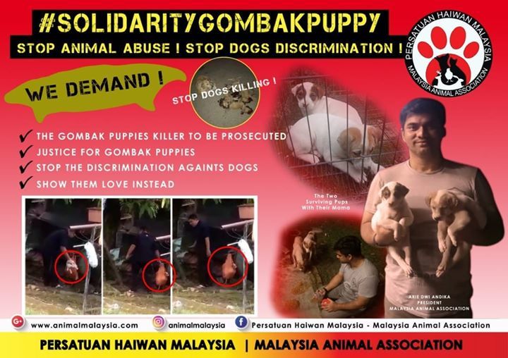 Kronologi Pembunuhan Anjing Tiada Pembelaan Dan Ke..