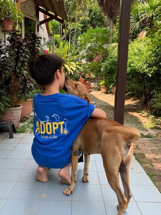 Love For Dogs Begin At A Young Age. Jazz Bought Ou..