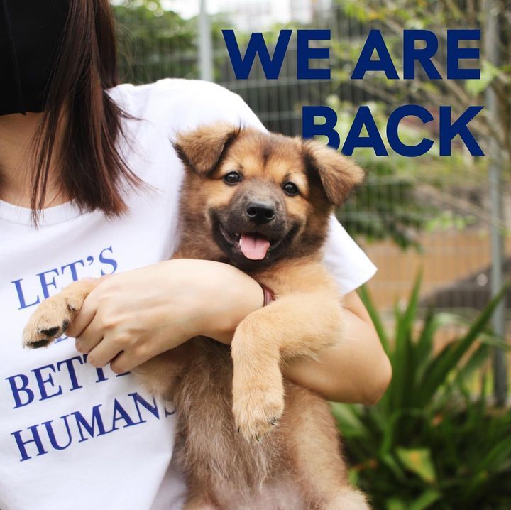 We Are Back. Our Animals Have Been Waiting As Pati..