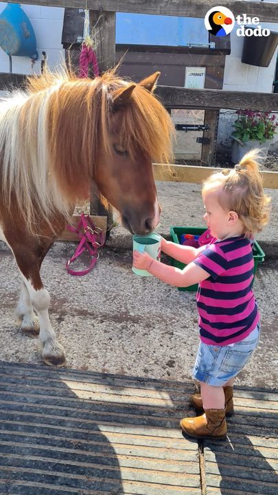2-Year-Old Girl Has Tea Parties With Her Pony