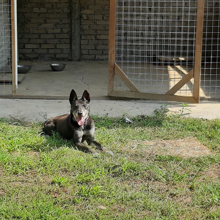 Tom, A Confident And Loving Boy Enjoying The Sun I..