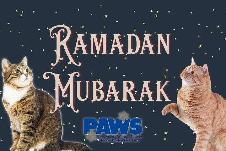 Selamat Berpuasa From All The Furry Friends Of Paw..