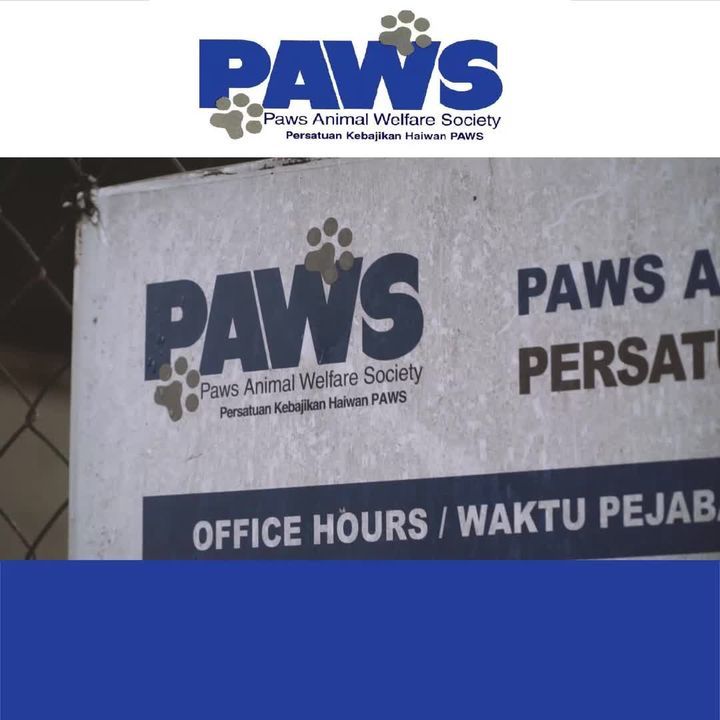 Head On To Paws.org.my/building-Fund To See How Yo..