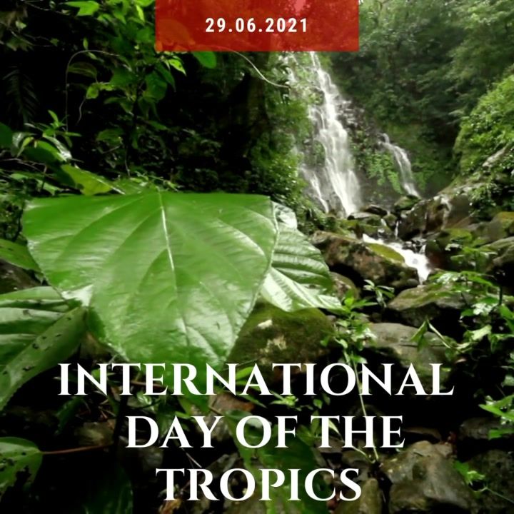 Its International Day Of The Tropics. The Tropical..