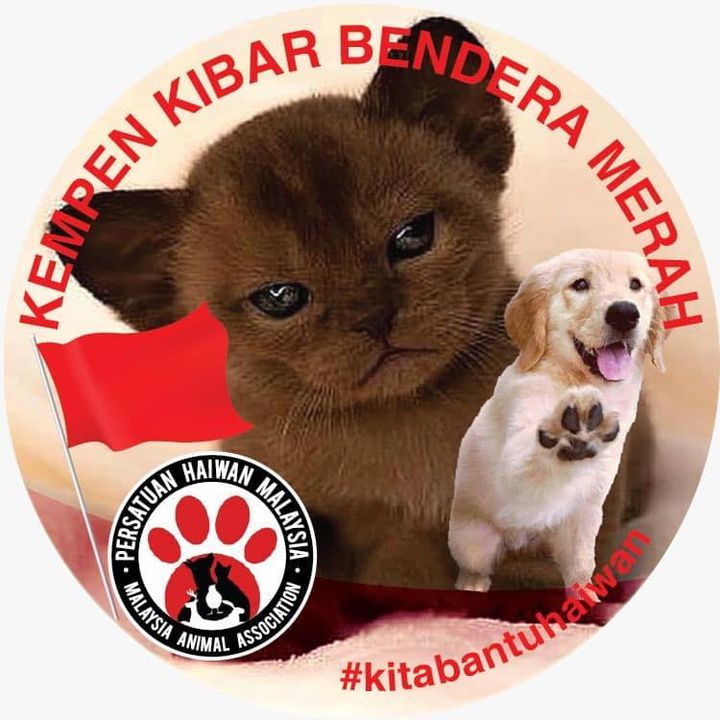 Persatuan Haiwan Malaysia – Malaysia Animal Association