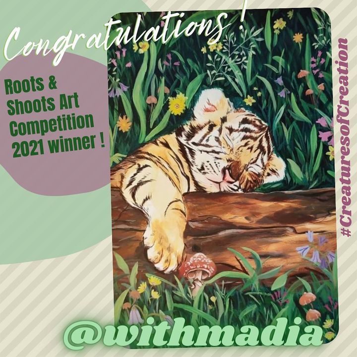 Creaturesofcreation Winners Announcement. Panthera..