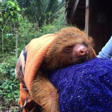 Peru Amazon Shelter Receives Donation Of Food From Harmony Fund