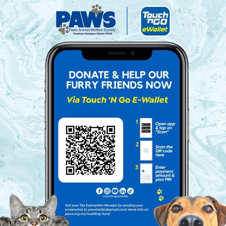 Paws Is Now Available On Touchngoewallet. We Hear ..