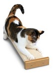 Cat Scratcher