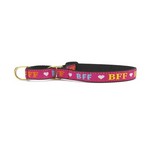 Up Country Martingale Dog Collar