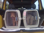 Pets fly too. Carriers ready - on the way to airport.