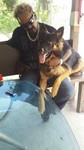 Chief Dog Trainer Stephen Anthony with his favorite German Shepherd 