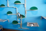 Playtime