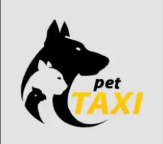 Flash Pet Taxi - 