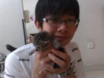 I, with one of the kittens.