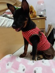 Looking Cuteeeeee