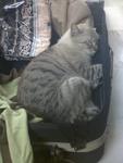 Sleeping in mummy's luggage