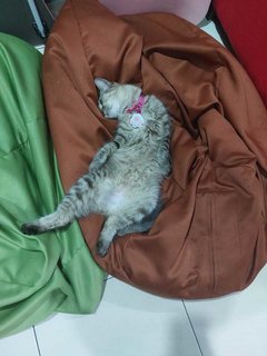 do not disturb sign is up!!.