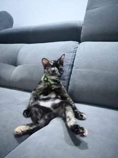 She loves sitting in this position to clean her belly ❤️