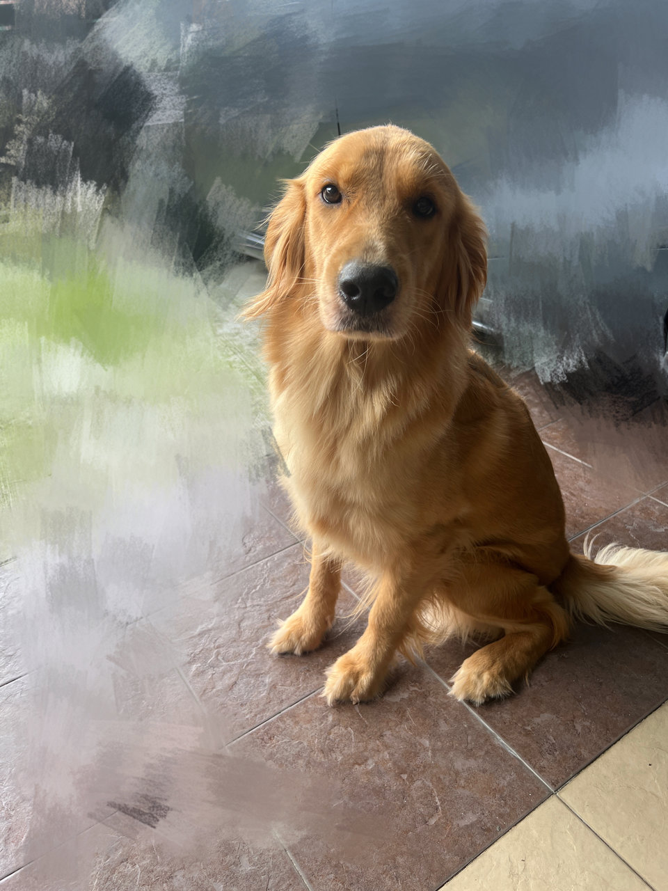 Lufy - Golden Retriever Dog