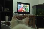 Watching tv