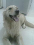 hurry up and take the photo cause this is my best smile!