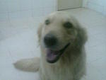 hello !