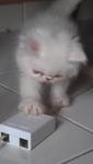 time to play