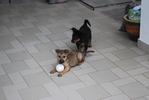 playing with balls after bath