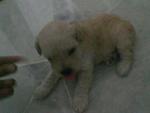 wen he was oly 1 month old...