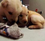Terra and Ares.