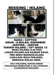 Missing -jln Kasban,meru Klang - Domestic Long Hair Cat