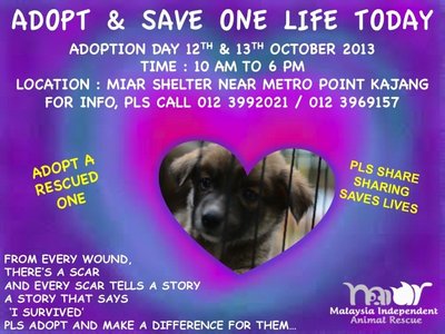 Miar Rescued Ones - Mixed Breed Dog