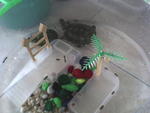 The bigger one chasing the small one...