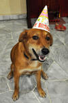 Is my 2nd birthday..! =) 