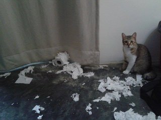 Thank god you're here - the toilet roll just exploded!!!!!