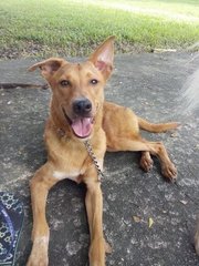 happy day at the park!