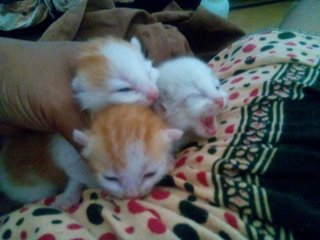 arent they adorable??? 