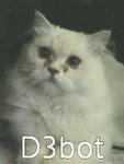 D3bot - Domestic Long Hair Cat