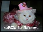 Pussy with hat...