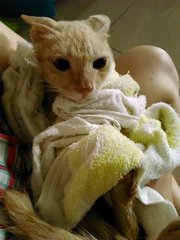 bath time! he was very cooperative