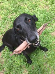 She likes to bring people dried leaves