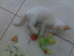 Playing with his soft toy