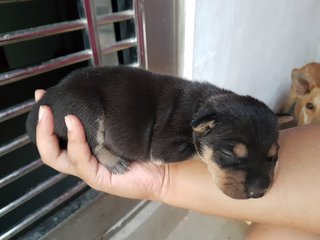 Junior at 1week