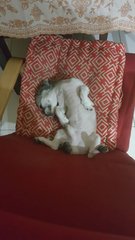another old sleeping position..hehehe